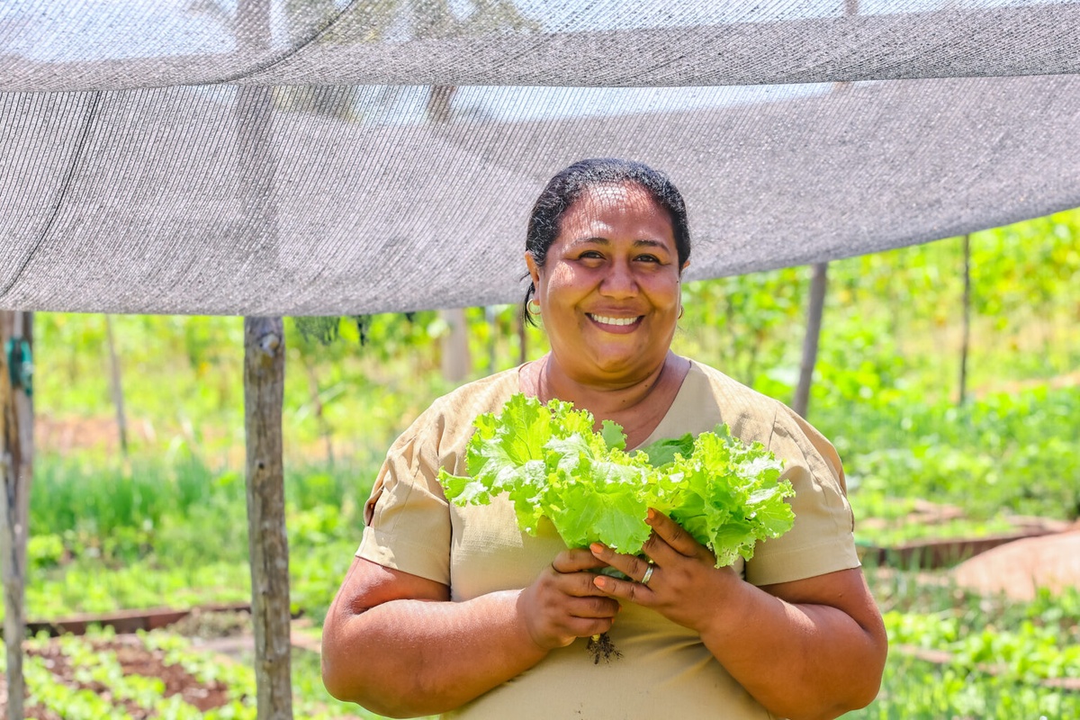 Maria de Jesus, da horta comunitária da Ave Verde, vai levar hortaliças na feira