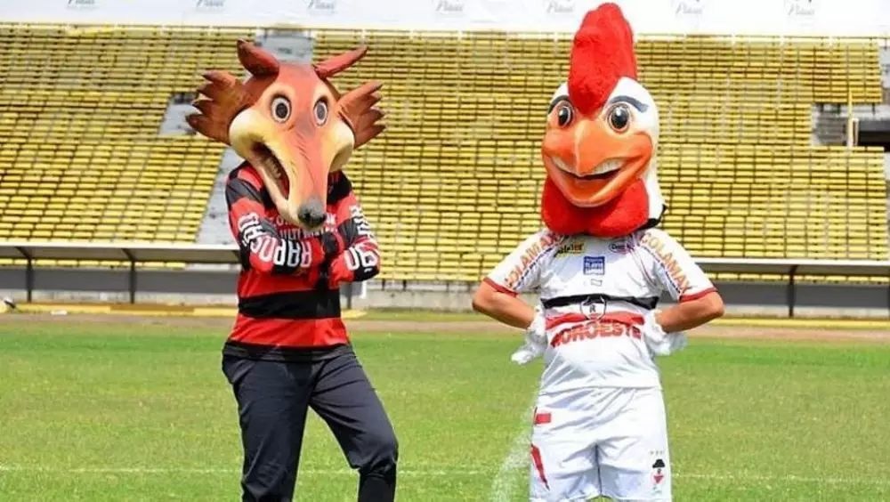 Mascotes do Flamengo do Piauí e River