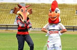 Mascotes do Flamengo do Piauí e River (Foto: Federação de Futebol do Piauí/Divulgação / Estadão)