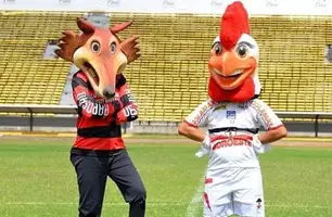 Mascotes do Flamengo do Piauí e River (Foto: Federação de Futebol do Piauí/Divulgação / Estadão)