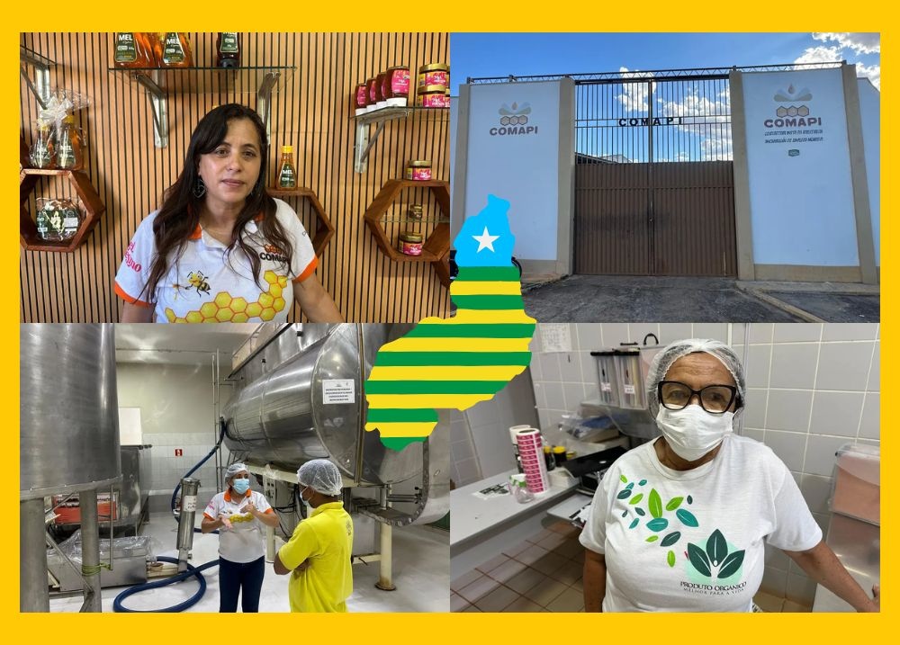 Mel de Simplício Mendes chega ao mercado japonês pela primeira vez