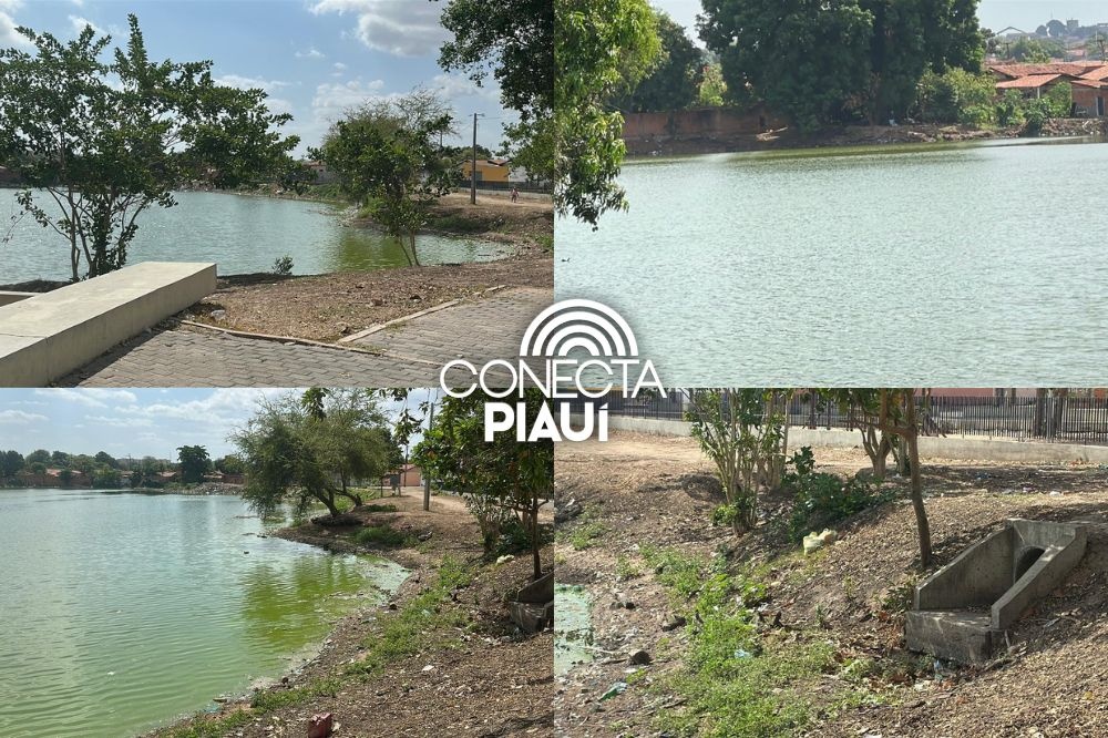Moradores denunciam despejo de dejetos em lagoa na zona Norte de Teresina