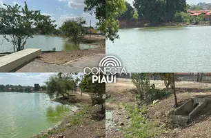Moradores denunciam despejo de dejetos em lagoa na zona Norte de Teresina (Foto: Conecta Piauí)