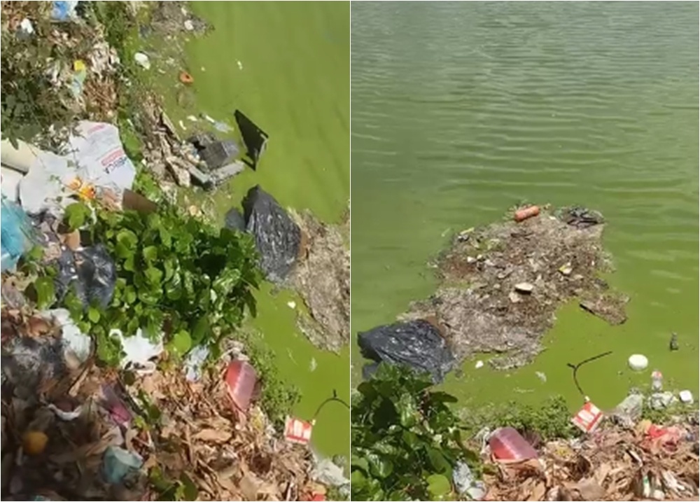 Moradores voltam a reclamar de mau cheiro no Parque Ambiental da Zona Norte
