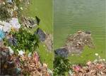 Moradores voltam a reclamar de mau cheiro no Parque Ambiental da Zona Norte