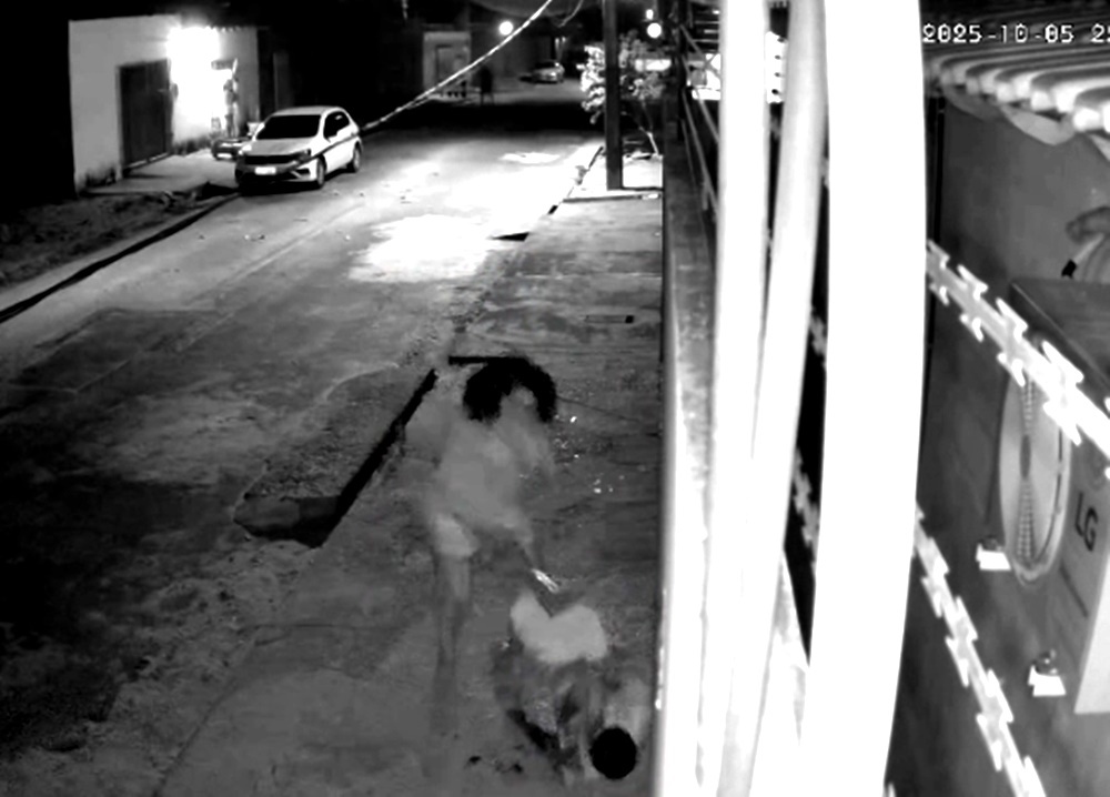Mulher é indiciada pelo assassinato do irmão, morto com várias facadas em Teresina