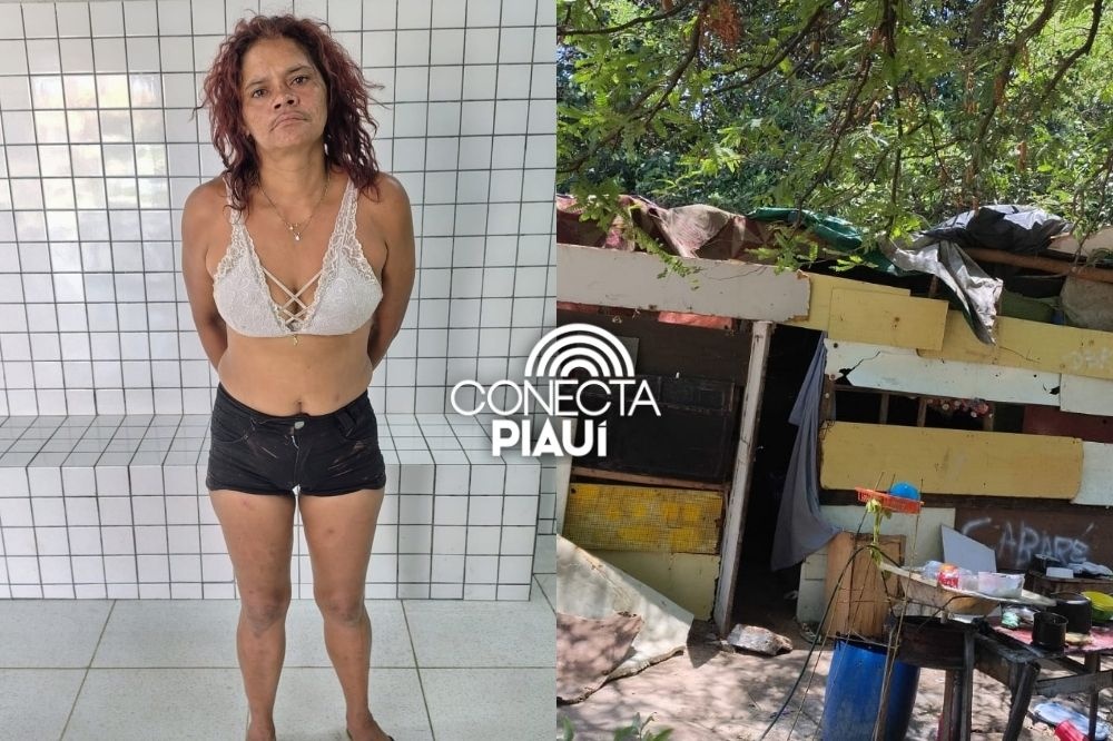 Mulher é presa com drogas em terreno usado para tráfico em Parnaíba