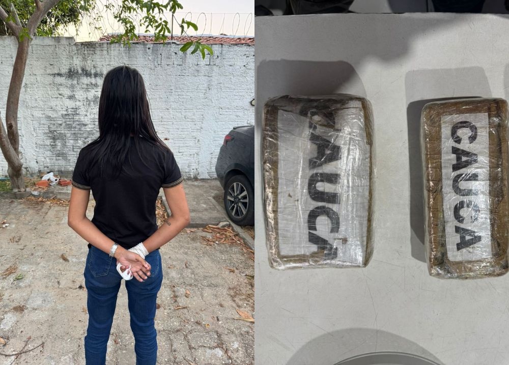 Mulher é presa transportando três quilos de “skunk” em ônibus interestadual no PI