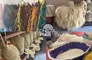 Mulheres da Ilha de Santa Isabel transformam palha de carnaúba em sustento (Foto: Conecta Piauí / Heitor Carvalho)