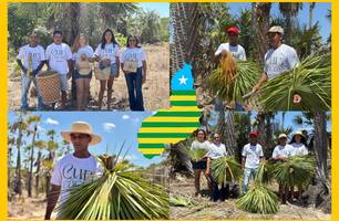 Mulheres do sertão transformam a folha da carnaúba em arte e sustento no Piauí (Foto: Conecta Piauí) Mulheres do sertão transformam a folha da carnaúba em arte e sustento no Piauí (Foto: Conecta Piauí)