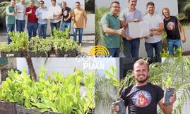 Município recebe mil mudas de árvores para fortalecer ações ambientais (Foto: Reprodução)