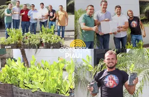 Município recebe mil mudas de árvores para fortalecer ações ambientais (Foto: Reprodução)