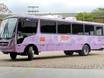 Ônibus Lilás leva atendimento e informação a quatro municípios do Piauí