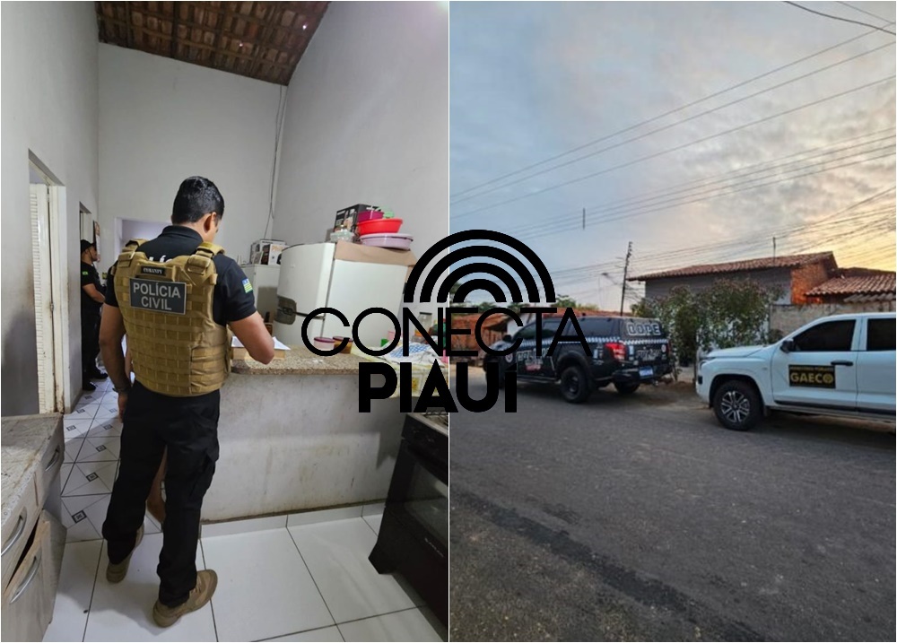 Operação Cela 03 mira esquema de tráfico, lavagem e roubo de veículos no PI e MA