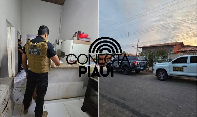 Operação Cela 03 mira esquema de tráfico, lavagem e roubo de veículos no PI e MA