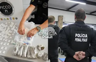 Operação contra grupo envolvido com tráfico apreende armas e drogas em Teresina (Foto: Conecta Piauí)