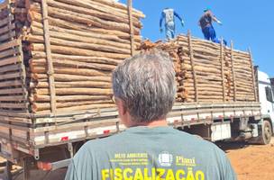 Operação Custodia Naturae (Foto: Reprodução) Operação Custodia Naturae (Foto: Reprodução)