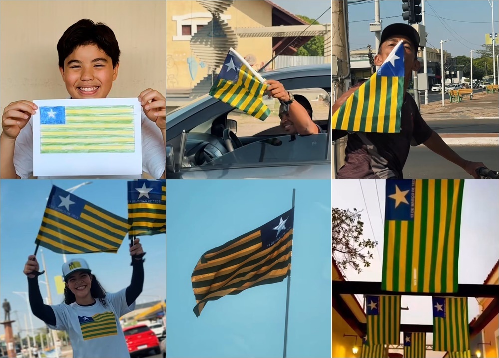 Orgulho da bandeira do Piauí