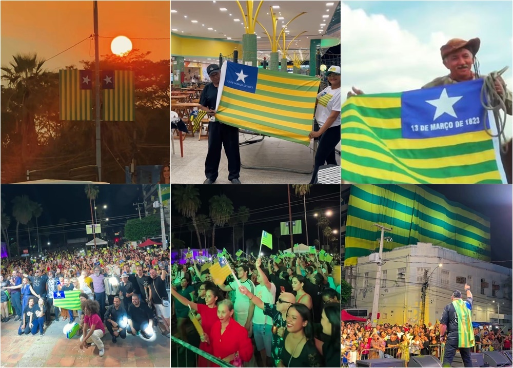 Orgulho da bandeira do Piauí