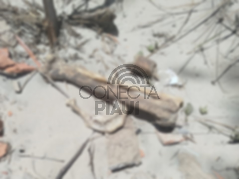 Ossada encontrada em Luís Correia