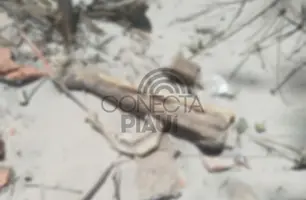 Ossada encontrada em Luís Correia (Foto: Reprodução)