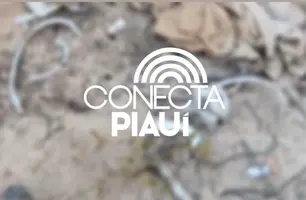 Ossada encontrada em Parnaíba pode ser de idosa com Alzheimer desaparecida (Foto: Reprodução)