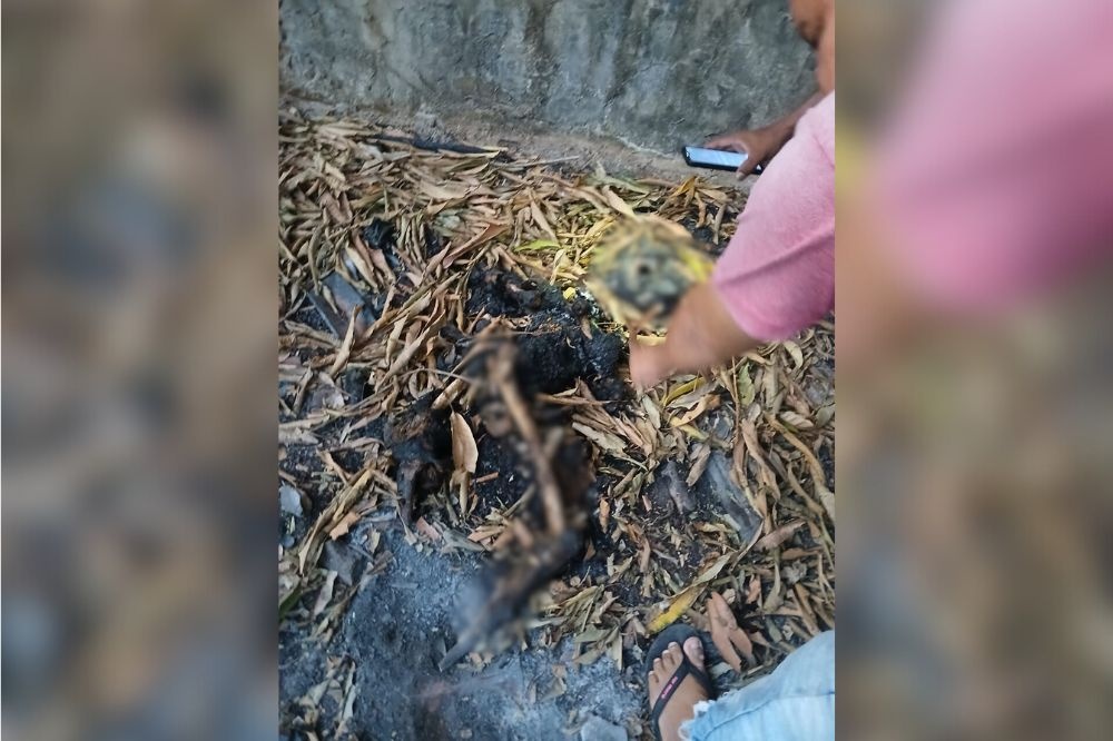 Ossada humana carbonizada é encontrada na zona Sul de Teresina