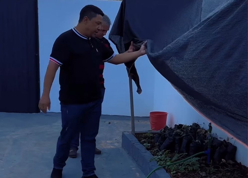 Palmeira do Piauí inicia projeto “Semeando o Futuro” em escola municipal