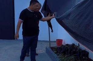 Palmeira do Piauí inicia projeto “Semeando o Futuro” em escola municipal (Foto: Reprodução) Palmeira do Piauí inicia projeto “Semeando o Futuro” em escola municipal (Foto: Reprodução)