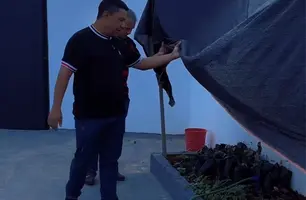 Palmeira do Piauí inicia projeto “Semeando o Futuro” em escola municipal (Foto: Reprodução)