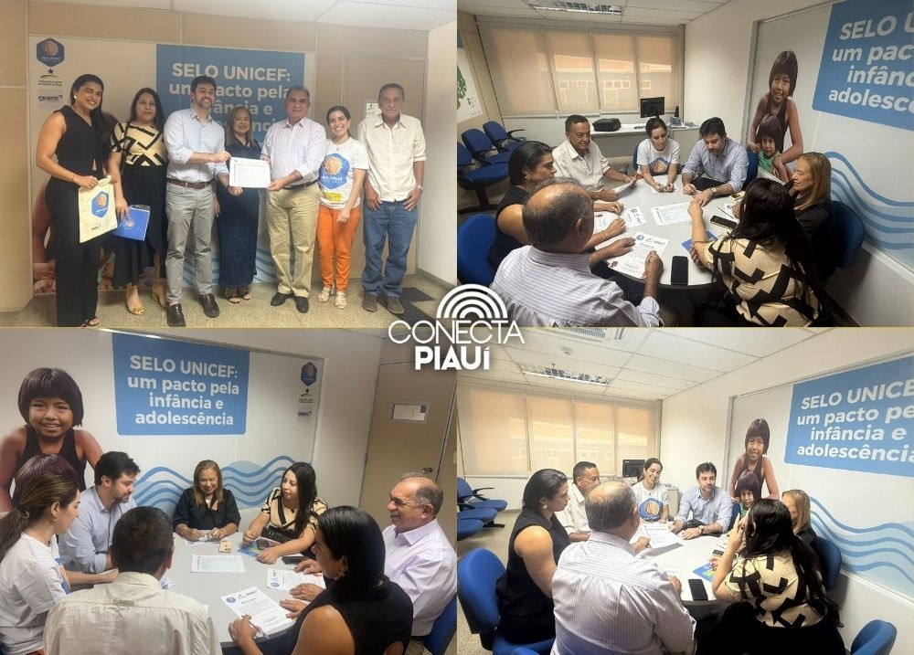 Pau D’Arco do Piauí promove reunião de alinhamento do Selo UNICEF com gestores