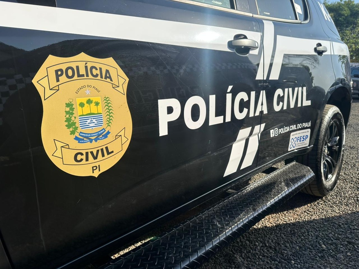 Polícia Civil do Piauí