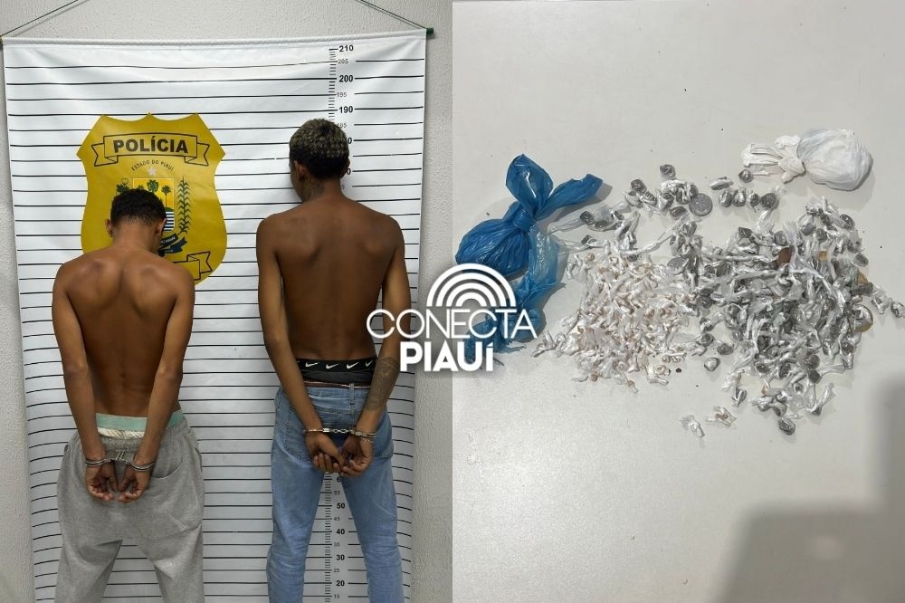 Polícia Civil prende dupla e apreende entorpecentes em Buriti dos Lopes