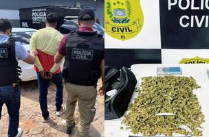 Polícia intercepta entrega de 'SuperMaconha' e prende suspeito em Dirceu Arcoverde (Foto: Reprodução)