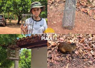 Policiamento Ambiental apreende aves silvestres e cutias em José de Freitas