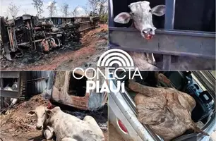 Populares furtam bois após carreta pegar fogo e tombar na BR-135, no Maranhão (Foto: Reprodução)