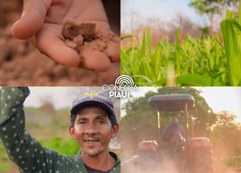 Prefeitura de Barreiras do Piauí destaca força da agricultura familiar