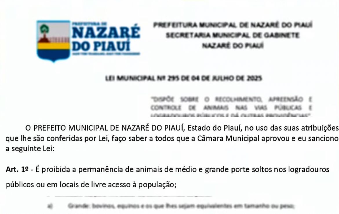 Prefeitura de Nazaré do Piauí inicia apreensão de animais soltos em vias públicas