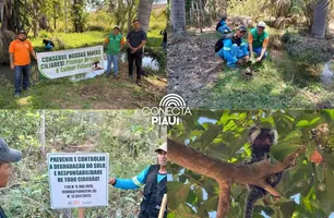 Prefeitura de palmeira do piauí promove ações de recuperação ambiental nos riachos (Foto: Reprodução)