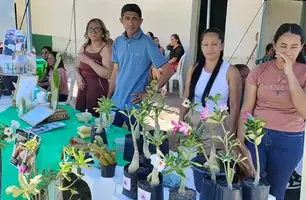 Prefeitura de Santa Luz realiza primeira Feira da Agricultura Familiar (Foto: Conecta Piauí)