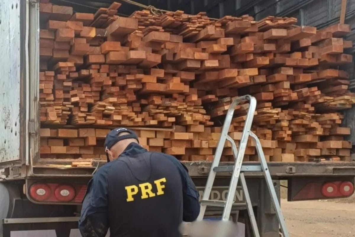 PRF apreende 37m³ de madeira irregular transportada na BR-316, em Picos
