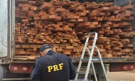 PRF apreende 37m³ de madeira irregular transportada na BR-316, em Picos (Foto: Reprodução/PRF)