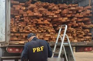 PRF apreende 37m³ de madeira irregular transportada na BR-316, em Picos (Foto: Reprodução/PRF)