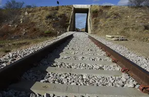 Primeira viagem do trem da Transnordestina marca início da operação da ferrovia (Foto: Reprodução)