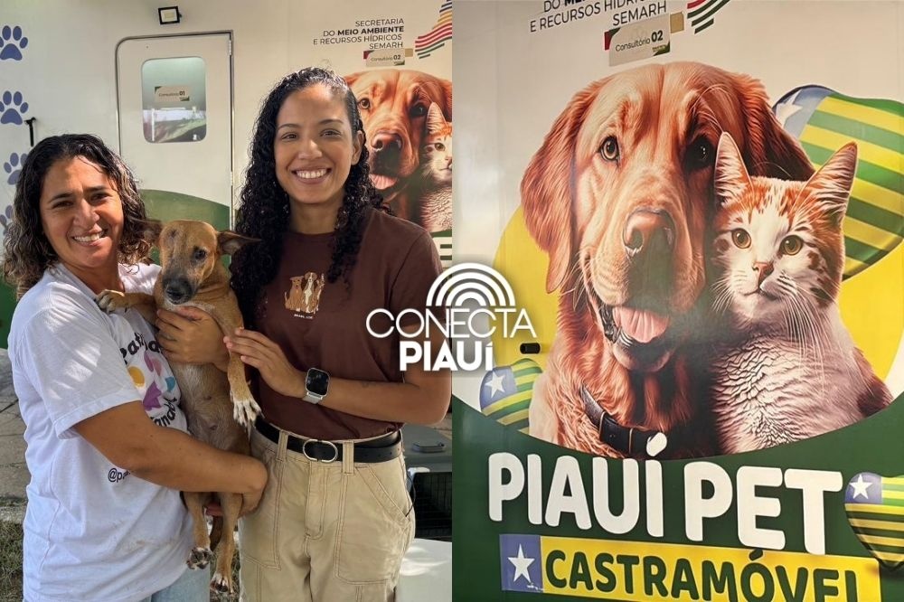 Semarh leva Castramóvel a animais acolhidos na zona Leste de Teresina