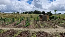 Simpósio de Recursos Genéticos debate soberania e segurança alimentar (Foto: João Gomes)