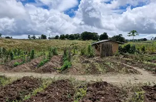 Simpósio de Recursos Genéticos debate soberania e segurança alimentar (Foto: João Gomes)