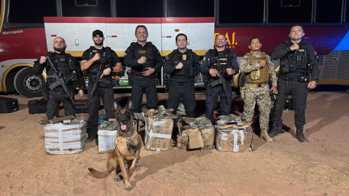 SSP-PI apreende 250kg de drogas e prende dois suspeitos em Bom Jesus