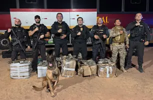 SSP-PI apreende 250kg de drogas e prende dois suspeitos em Bom Jesus (Foto: Reprodução)