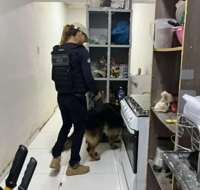 Suspeito de extorquir compradores de veículos é preso pela Polícia Civil em Oeiras